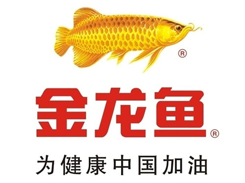 金龍魚_副本